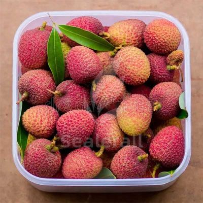 comprare Macchina per confezionamento in atmosfera modificata in acciaio inossidabile per litchi freschi fabbricazione online